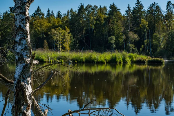Осенью Туристический Поход Природному Заповеднику Бургас Рид — стоковое фото
