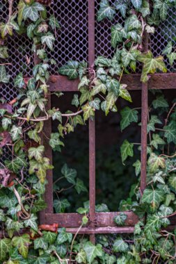 Eski bir elektrik santralinin eski bir kalıntısı.