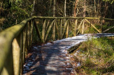 Büyüleyici bitki örtüsü ve faunası olan rüya gibi doğa koruma merkezi Wilhelmsdorf