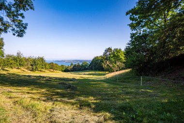 Constance Gölü 'ndeki Sipplingen yakınlarında harika manzaralı ve gizemli vadilerle muhteşem bir yürüyüş.