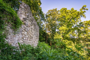 Constance Gölü 'ndeki Sipplingen yakınlarında harika manzaralı ve gizemli vadilerle muhteşem bir yürüyüş.