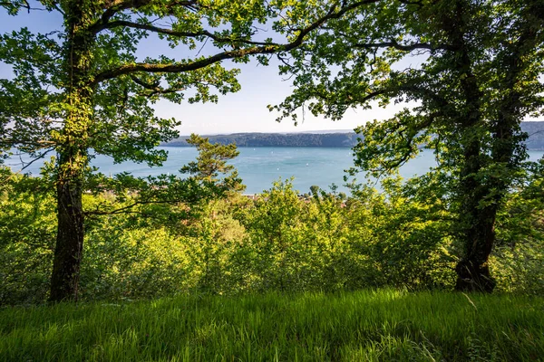 Traumhafte Wanderung Bei Sipplingen Bodensee Mit Herrlichen Ausblicken Und Geheimnisvollen — Stockfoto