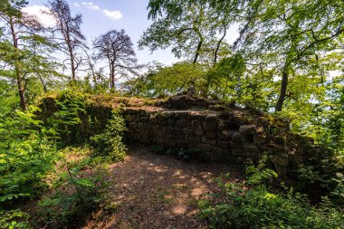 Constance Gölü 'ndeki Sipplingen yakınlarında harika manzaralı ve gizemli vadilerle muhteşem bir yürüyüş.