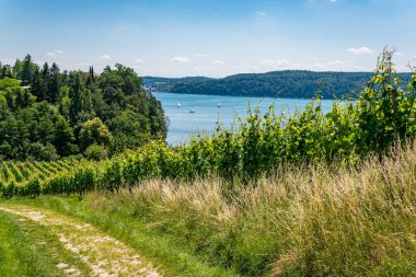 Constance Gölü 'ndeki Sipplingen yakınlarında harika manzaralı ve gizemli vadilerle muhteşem bir yürüyüş.