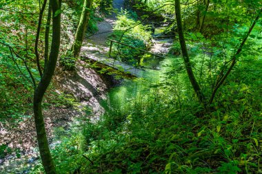 Constance Gölü 'ndeki Sipplingen yakınlarında harika manzaralı ve gizemli vadilerle muhteşem bir yürüyüş.