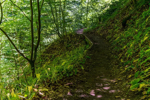 Caminhada Fantástica Perto Sipplingen Lago Constança Com Vistas Maravilhosas Desfiladeiros — Fotografia de Stock