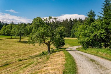 Kuzey Constance Gölü 'nde harika bir manzarası olan harika bir yürüyüş.