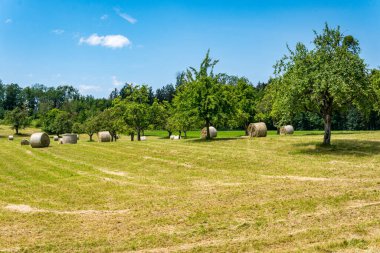 Kuzey Constance Gölü 'nde harika bir manzarası olan harika bir yürüyüş.