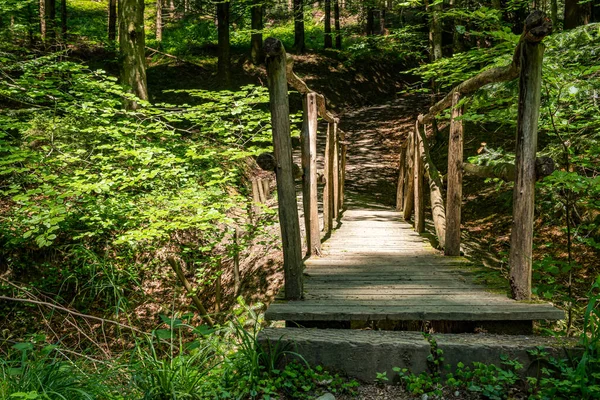 Jembatan Tua Yang Indah Hutan Dongeng — Stok Foto