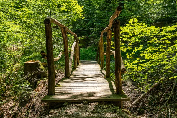 Ponte Velha Idílica Agradável Uma Floresta Conto Fadas — Fotografia de Stock