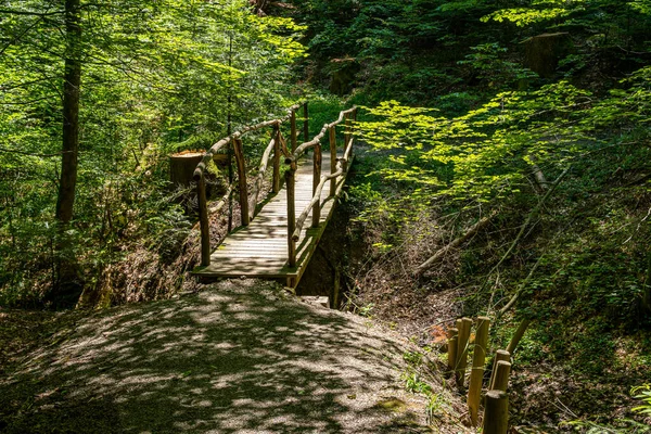 Lindo Puente Idílico Bosque Cuento Hadas — Foto de Stock