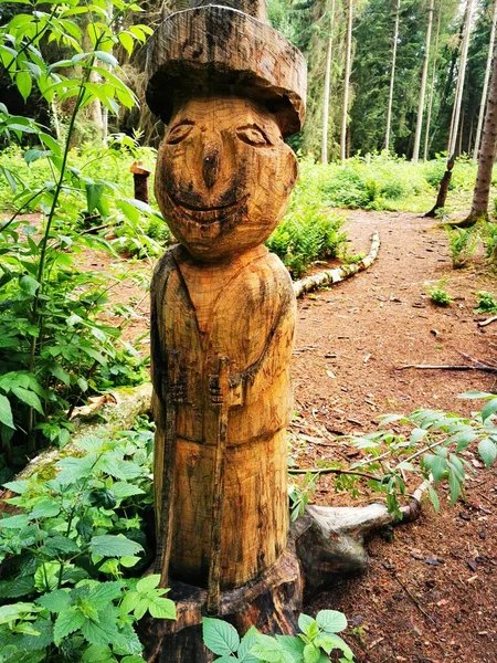 Schöne Holzskulpturen Naturschutzgebiet Pfrunger Burgweiler Ried Oberschwaben Deutschland — Stockfoto