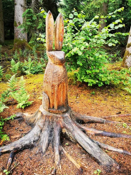 Schöne Holzskulpturen Naturschutzgebiet Pfrunger Burgweiler Ried Oberschwaben Deutschland — Stockfoto