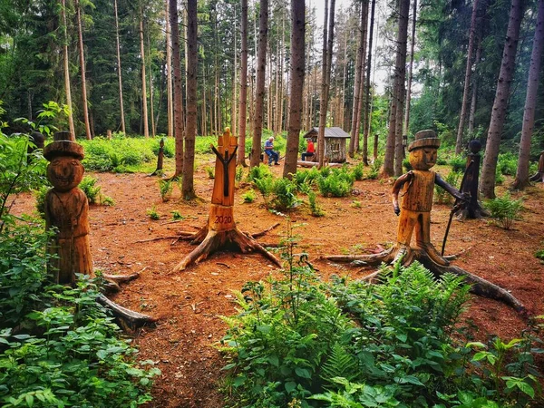 Schöne Holzskulpturen Naturschutzgebiet Pfrunger Burgweiler Ried Oberschwaben Deutschland — Stockfoto