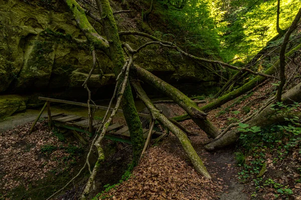 Maravilhosa Trilha Caminhada Longa Distância Seegang Lago Constança Alemanha — Fotografia de Stock