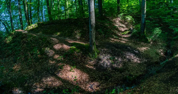 Maravilhosa Trilha Caminhada Longa Distância Seegang Lago Constança Alemanha — Fotografia de Stock