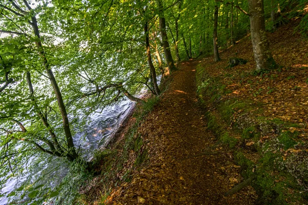 Nádherné Dálkové Turistické Stezce Seegang Bodamském Jezeře Německo — Stock fotografie