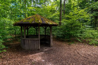 Muhteşem uzun mesafe yürüyüş parkurunda, Almanya, Constance Gölü 'ndeki Seegang