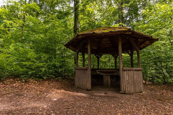 Maravilhosa Trilha Caminhada Longa Distância Seegang Lago Constança Alemanha — Fotografia de Stock