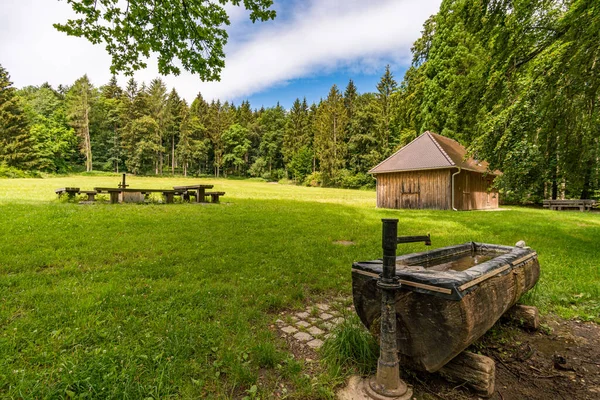 Wonderful Long Distance Hiking Trail Seegang Lake Constance Germany — Stock Photo, Image