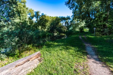 Muhteşem uzun mesafe yürüyüş parkurunda, Almanya, Constance Gölü 'ndeki Seegang