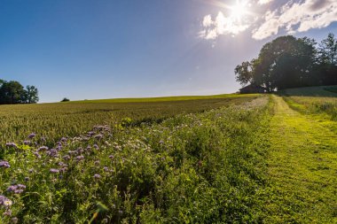 Heiligenberg 'deki güzel Constance Gölü' nün panorama yolu boyunca