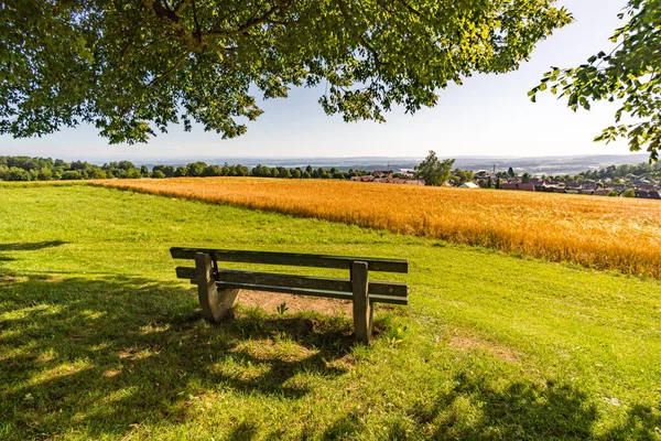 Heiligenberg 'deki güzel Constance Gölü' nün panorama yolu boyunca