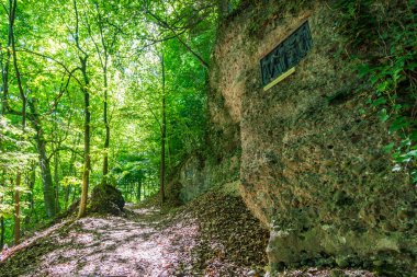 Heiligenberg 'deki güzel Constance Gölü' nün panorama yolu boyunca