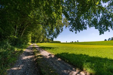 Heiligenberg 'deki güzel Constance Gölü' nün panorama yolu boyunca
