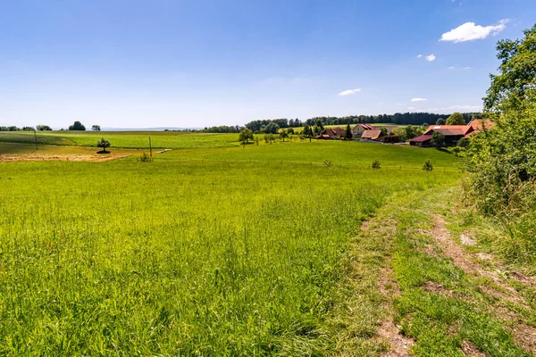 Langs Het Panoramapad Heiligenberg Aan Het Prachtige Bodenmeer — Stockfoto