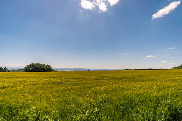 Langs Het Panoramapad Heiligenberg Aan Het Prachtige Bodenmeer — Stockfoto