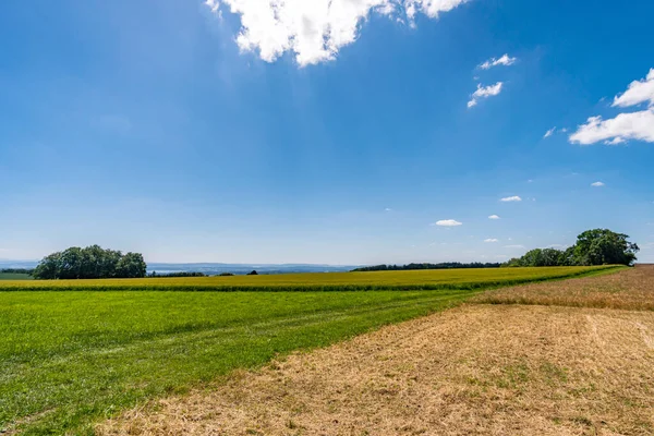 Langs Het Panoramapad Heiligenberg Aan Het Prachtige Bodenmeer — Stockfoto