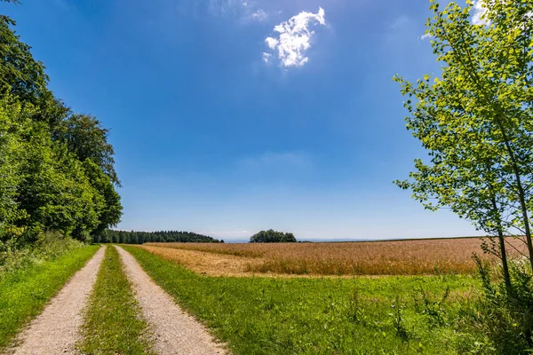 Langs Het Panoramapad Heiligenberg Aan Het Prachtige Bodenmeer — Stockfoto