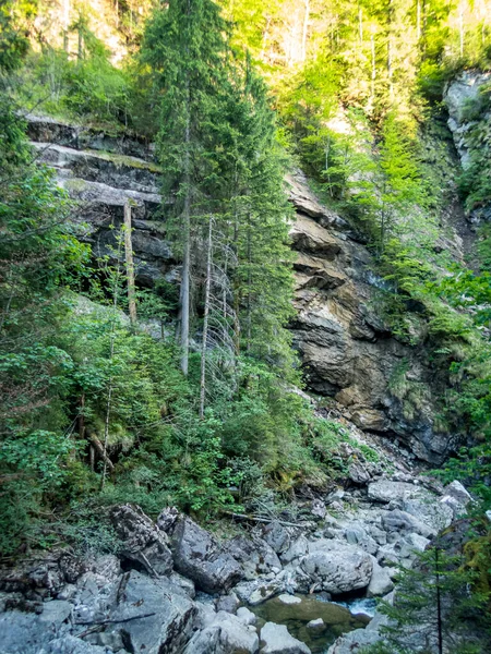 Starzlachklamm Между Burgberg Sonthofen Около Grunten Allgau — стоковое фото