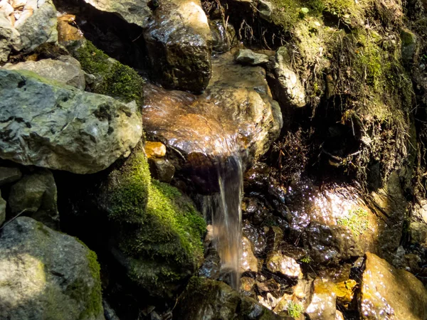 Allgau Daki Grunten Yakınlarında Burgberg Sonthofen Arasındaki Starzlachklamm — Stok fotoğraf