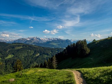 Allgau Alpsee 'nin Grunten Muhafızı