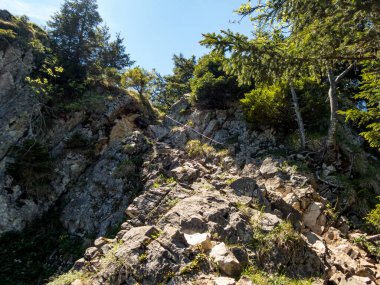 Allgau Alpsee 'nin Grunten Muhafızı