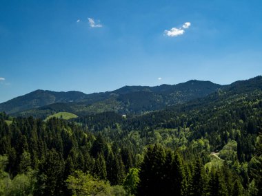 Allgau Alpsee 'nin Grunten Muhafızı