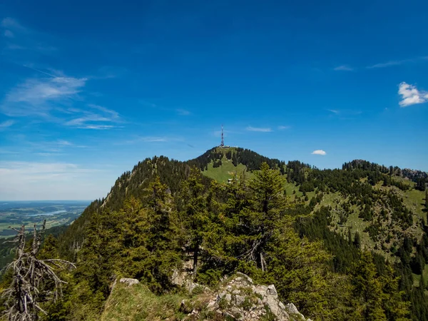 Allgau Alpsees Väktare Grunten — Stockfoto