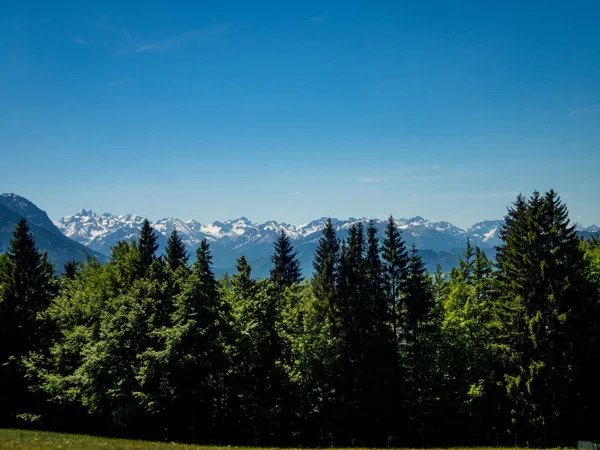 Guardián Grunten Del Alpsee Allgau —  Fotos de Stock