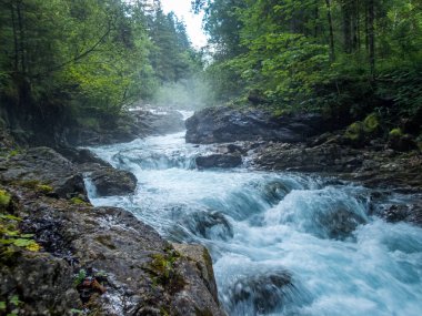 Nebelhorn 'dan Schneck, Hofats ve Oytal üzerinden Laufbacher Eck boyunca fantastik panoramik yürüyüş