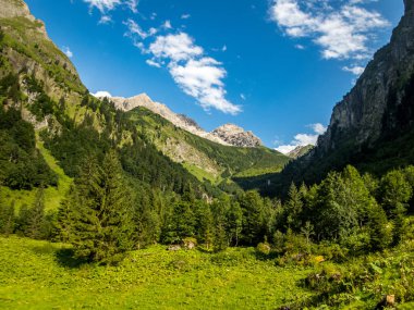 Nebelhorn 'dan Schneck, Hofats ve Oytal üzerinden Laufbacher Eck boyunca fantastik panoramik yürüyüş