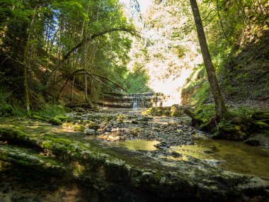 Allgau 'da Waltenhofen yakınlarındaki Rohrbachtobel' den yürü.