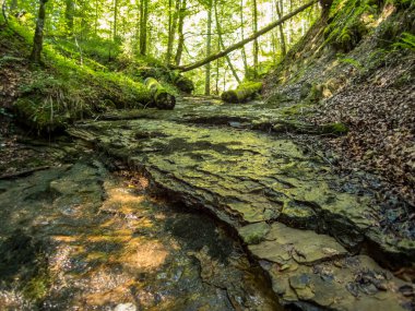 Allgau 'da Waltenhofen yakınlarındaki Rohrbachtobel' den yürü.