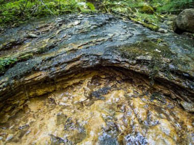 Allgau 'da Waltenhofen yakınlarındaki Rohrbachtobel' den yürü.