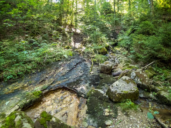 Hike Rohrbachtobel Waltenhofen Allgau — Stock Photo, Image