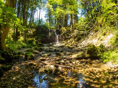 Allgau 'daki Hellengerst yakınlarındaki Speckbach şelalesine gidin.