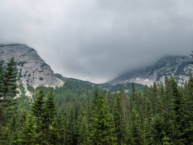 Tiroler Zugspitz Arena 'da Ehrwald yakınlarında yağmurlu bir yürüyüş.