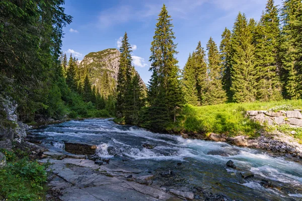 Fantástica Caminata Las Montañas Lechquellen Vorarlberg Austria Cerca Lech Warth — Foto de Stock