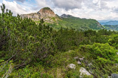 Lech, Warth, Bludenz yakınlarındaki Vorarlberg Avusturya 'daki Lechquellen Dağları' nda muhteşem bir yürüyüş.